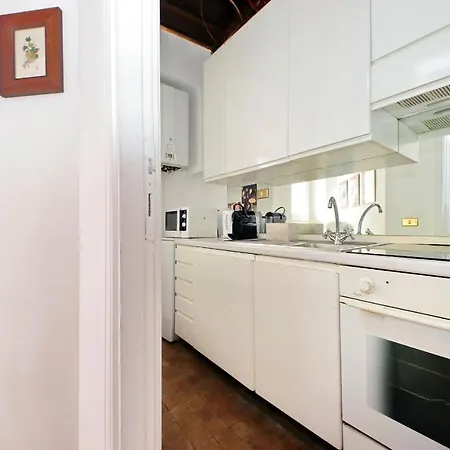 Colosseum Comfort By Halldis